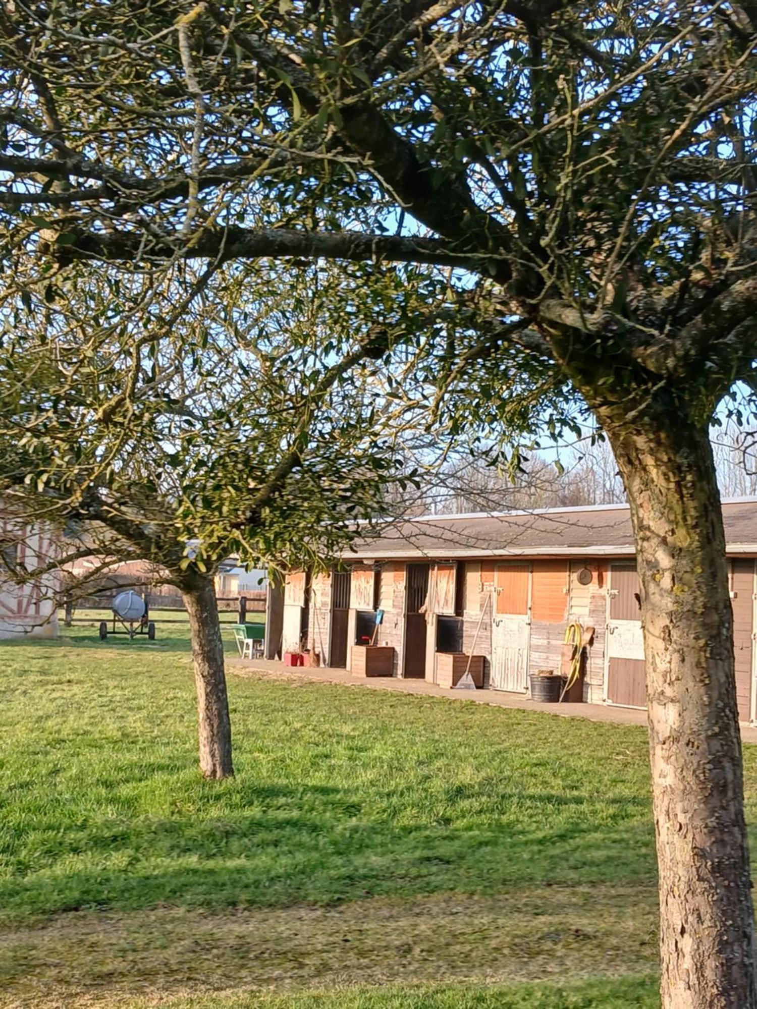 Le Pin Domaine Des Ifs住宿加早餐旅馆 外观 照片