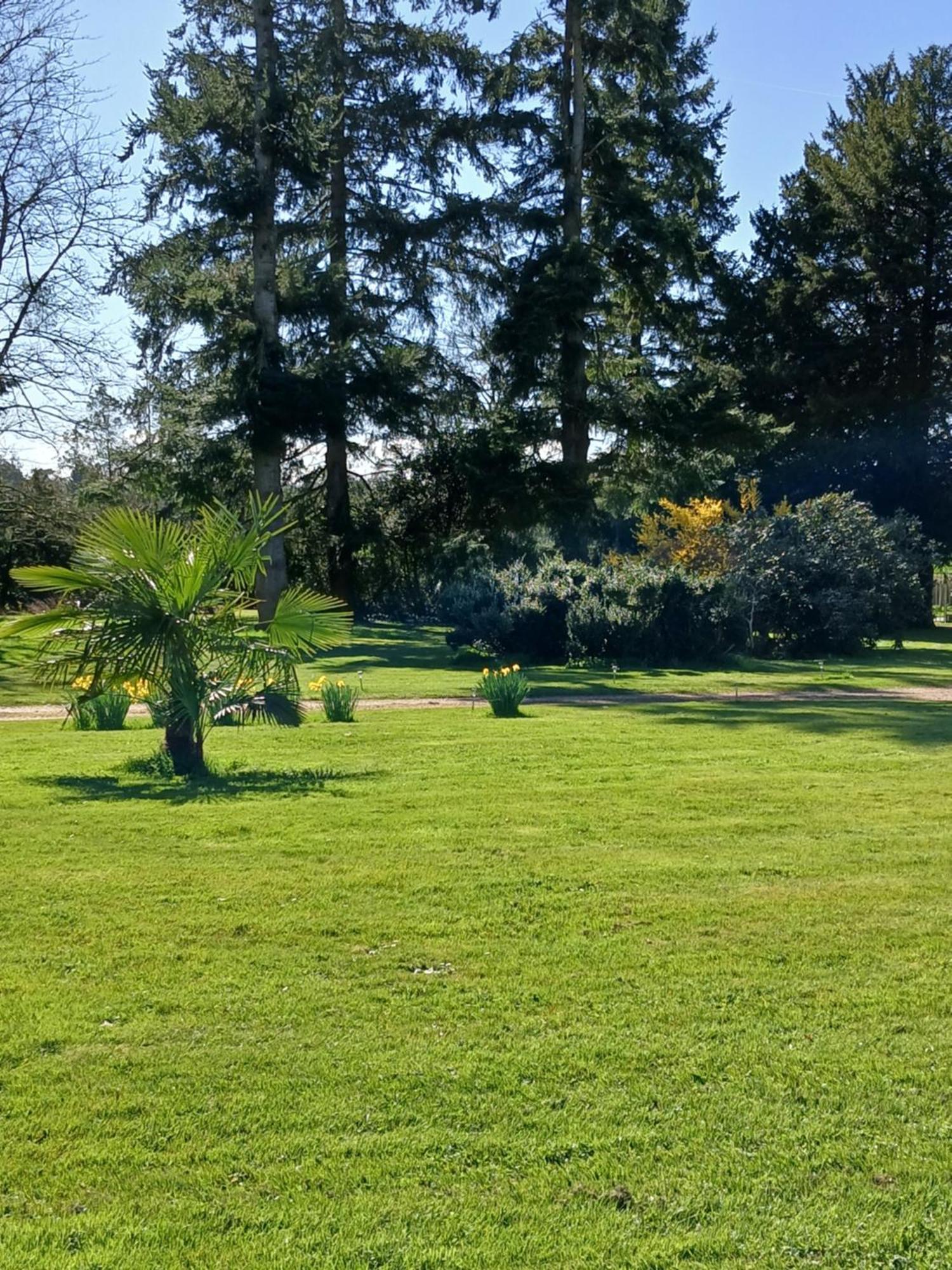 Le Pin Domaine Des Ifs住宿加早餐旅馆 外观 照片