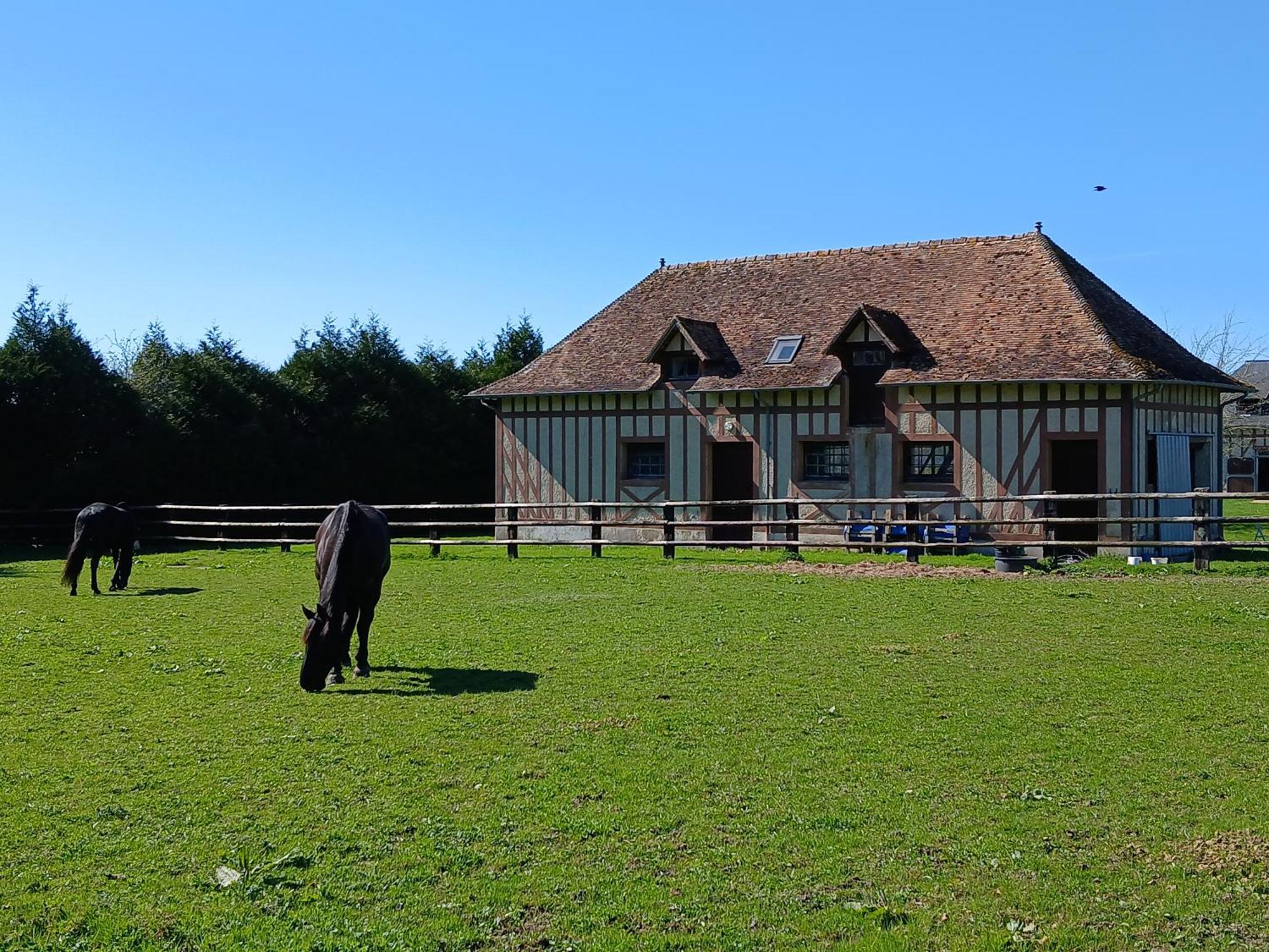 Le Pin Domaine Des Ifs住宿加早餐旅馆 外观 照片